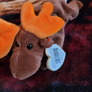 Beanie Baby Chocolate The Moose Mint